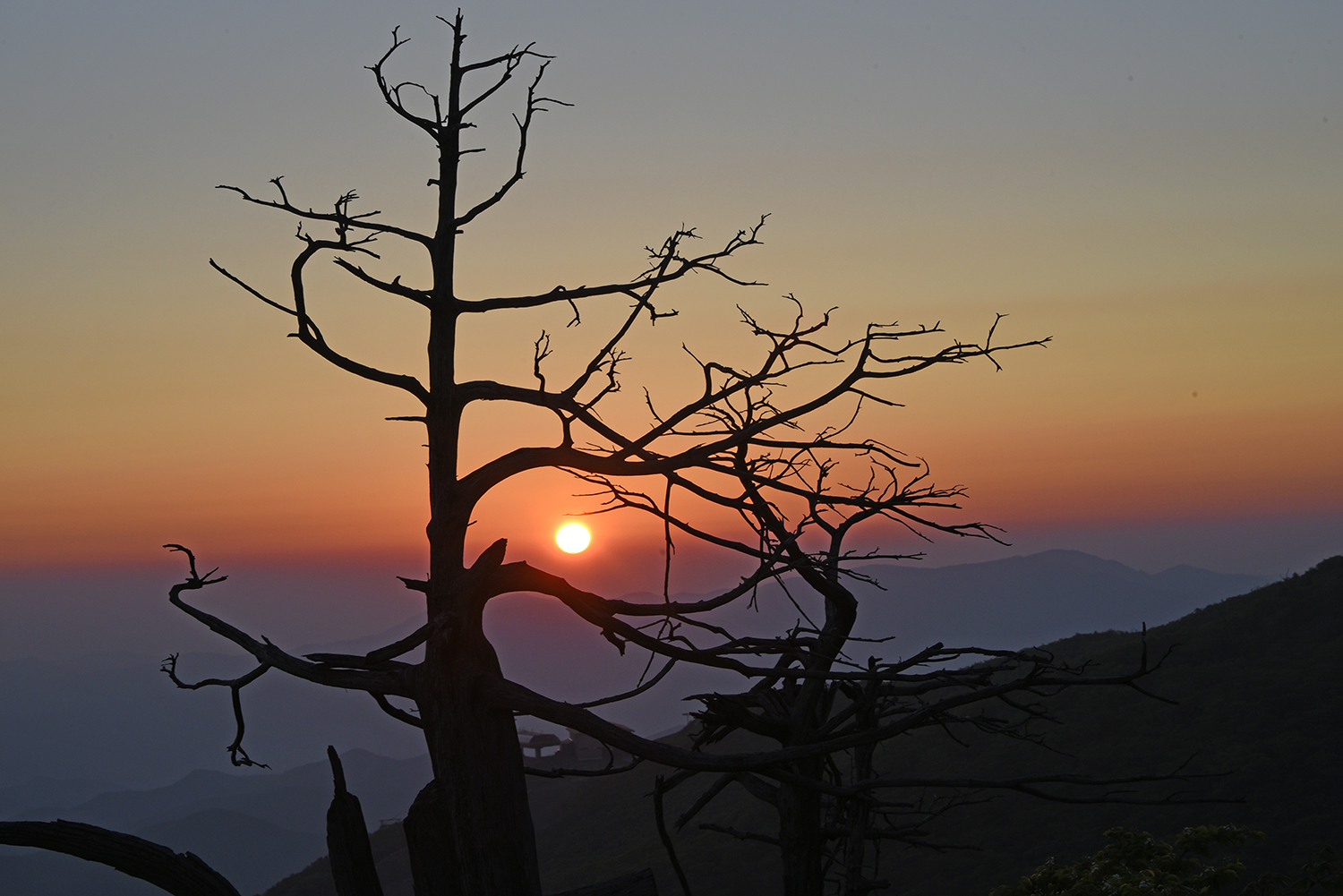_DSC2457~일출~15.jpg
