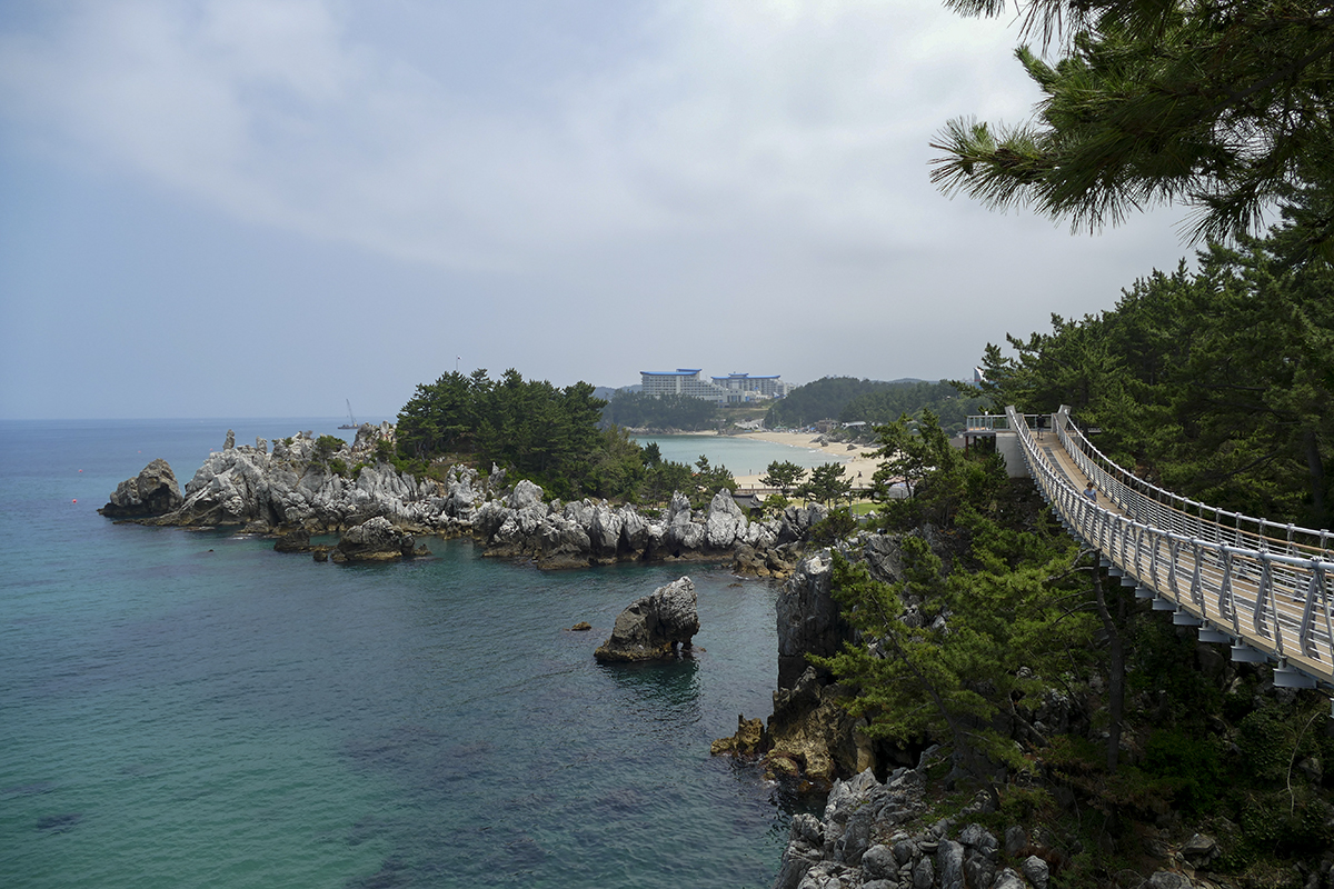 L1130546@12.jpg
