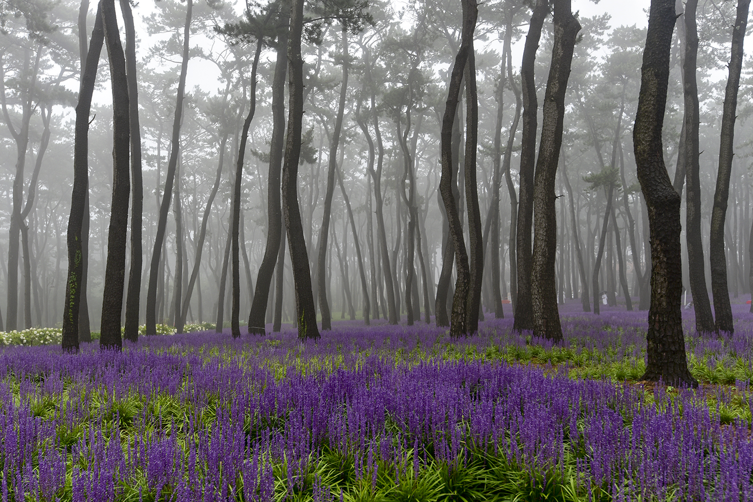 DSC_0715~15.jpg
