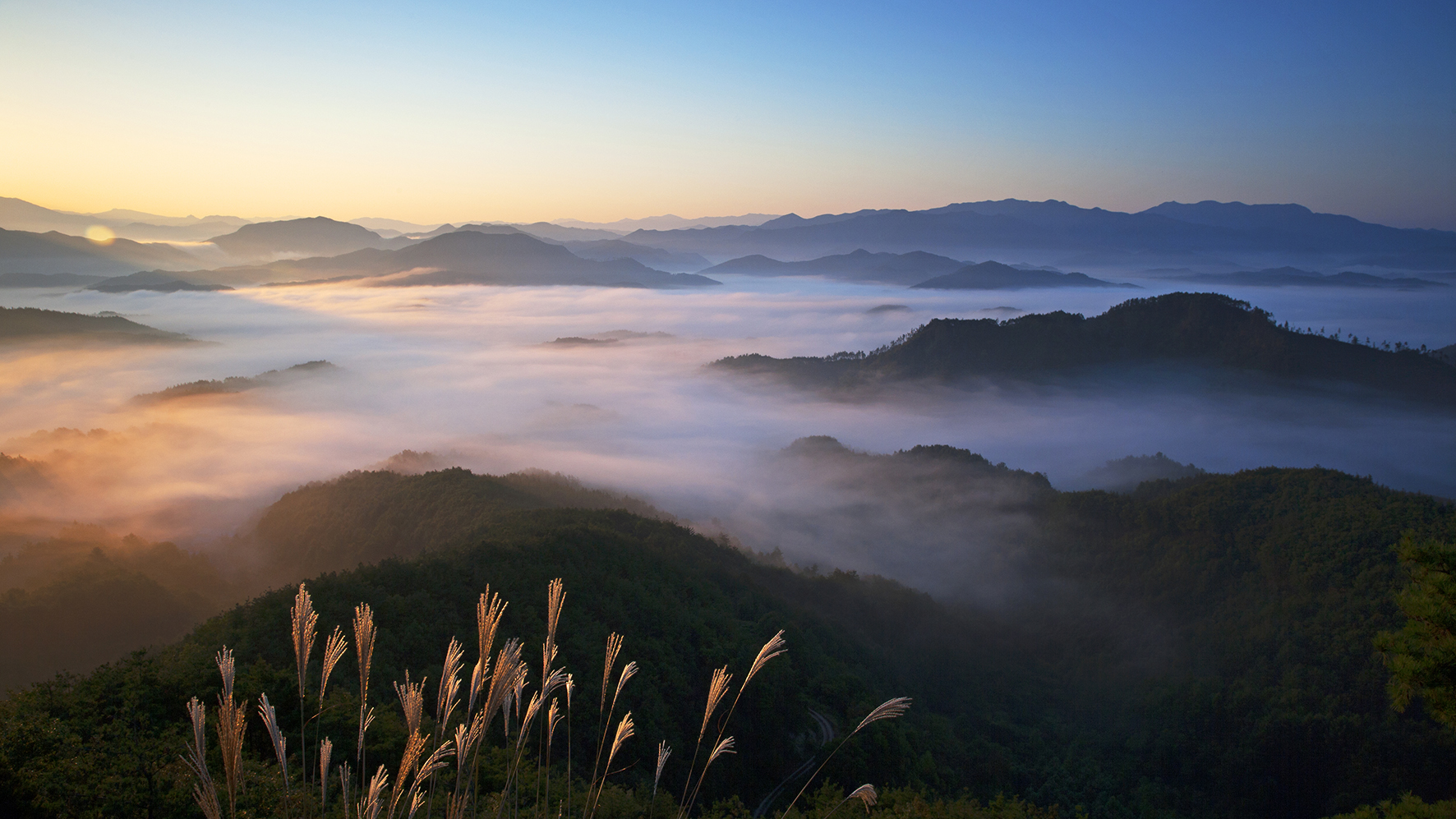0F7K0197 - 복사본2.jpg
