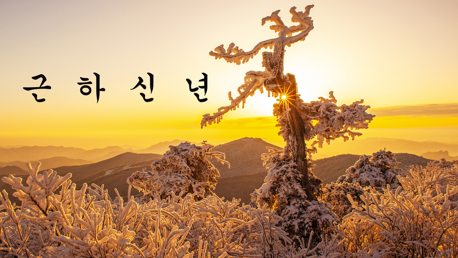 카드.jpg