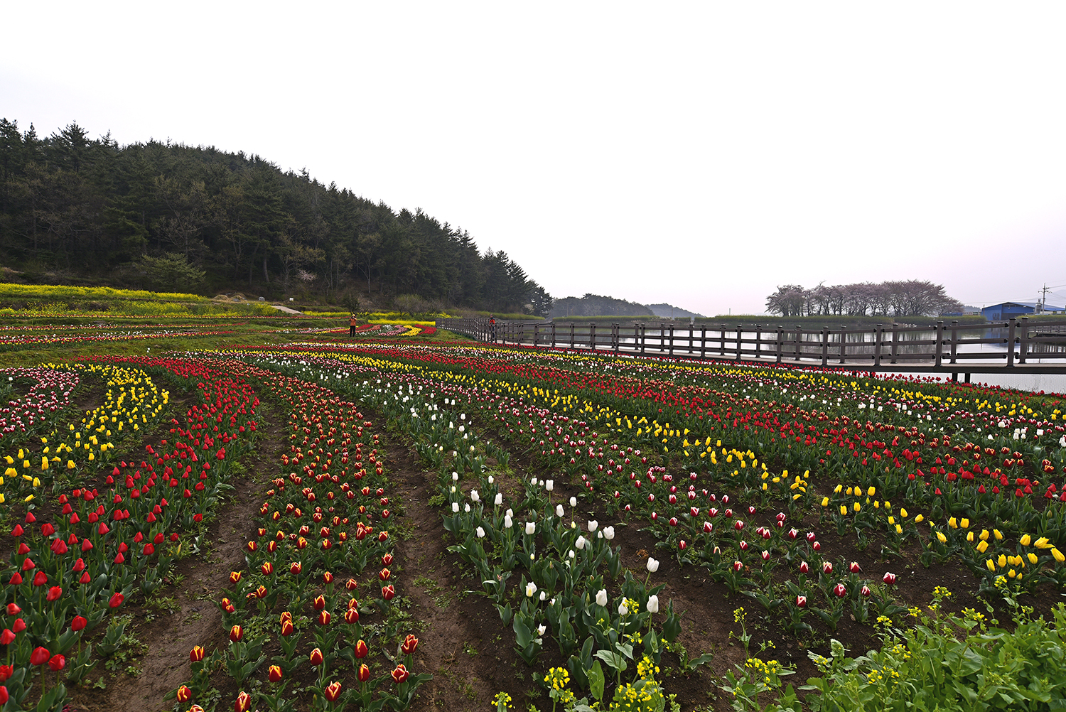 _DSC0847~15.jpg