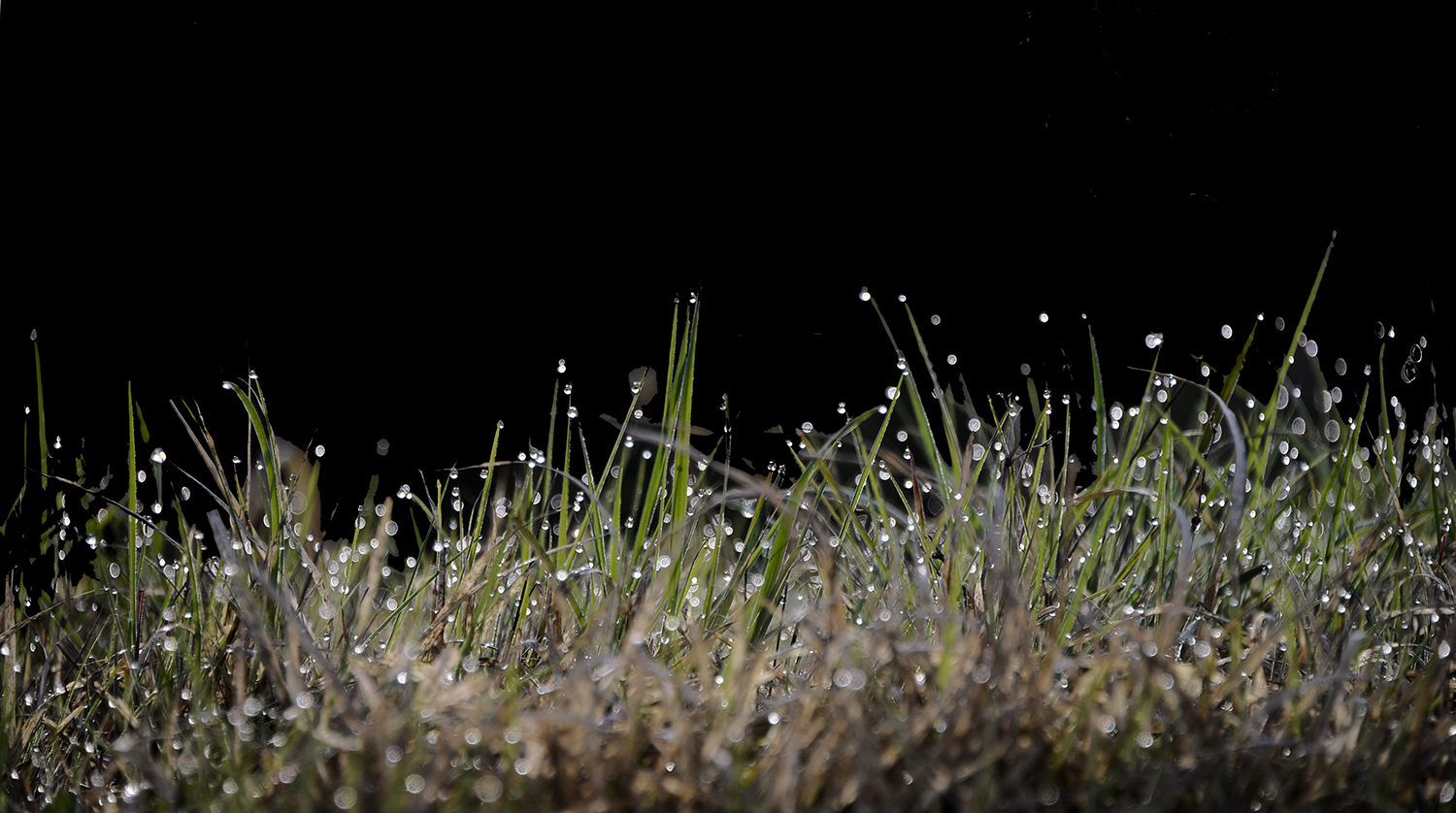 _DSC1061~15.jpg