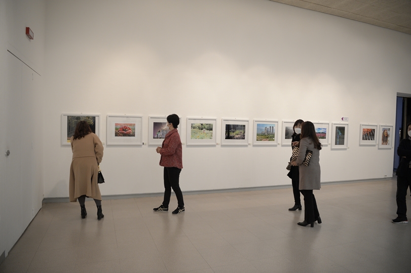 DSC_6616.jpg