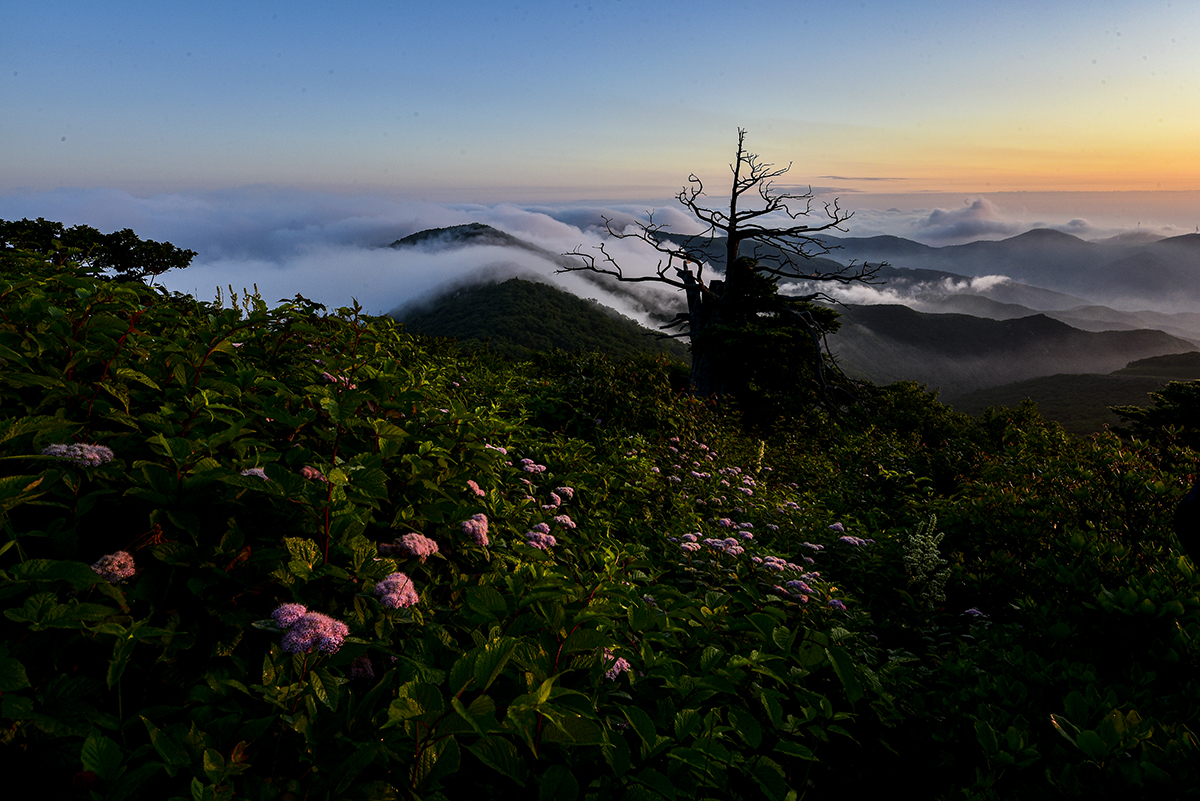 DSC_9684~12.jpg