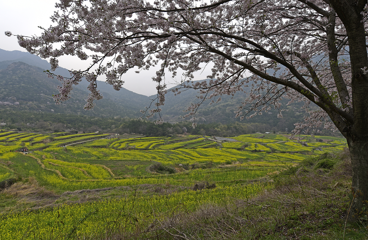 _DSC0879~15.jpg