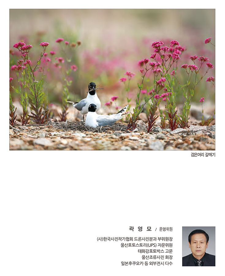 써클연합회 30년사 사진집-43.jpg