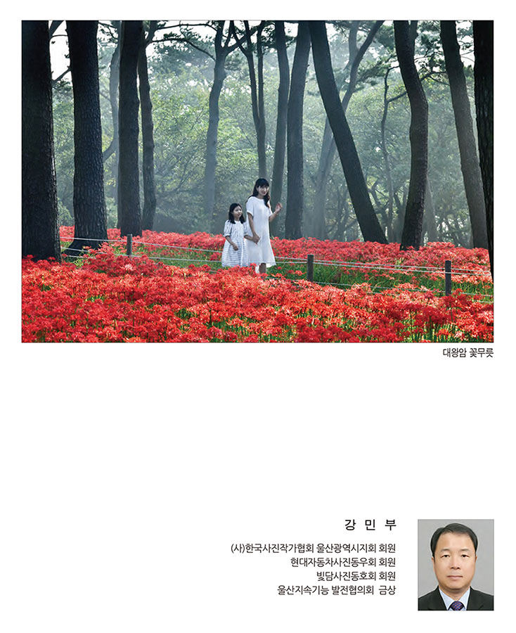 써클연합회 30년사 사진집-53.jpg