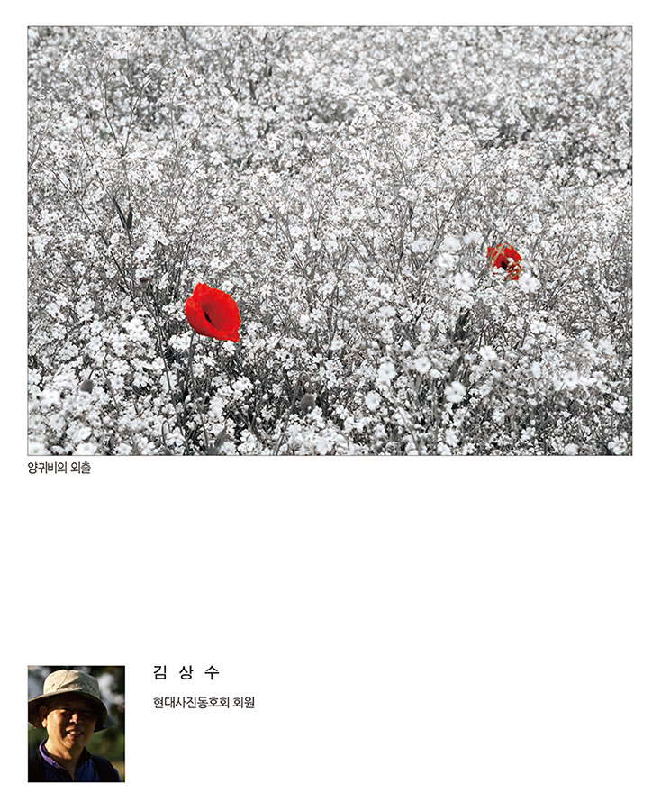 써클연합회 30년사 사진집-70.jpg