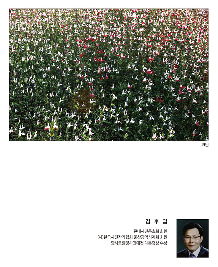 써클연합회 30년사 사진집-97.jpg
